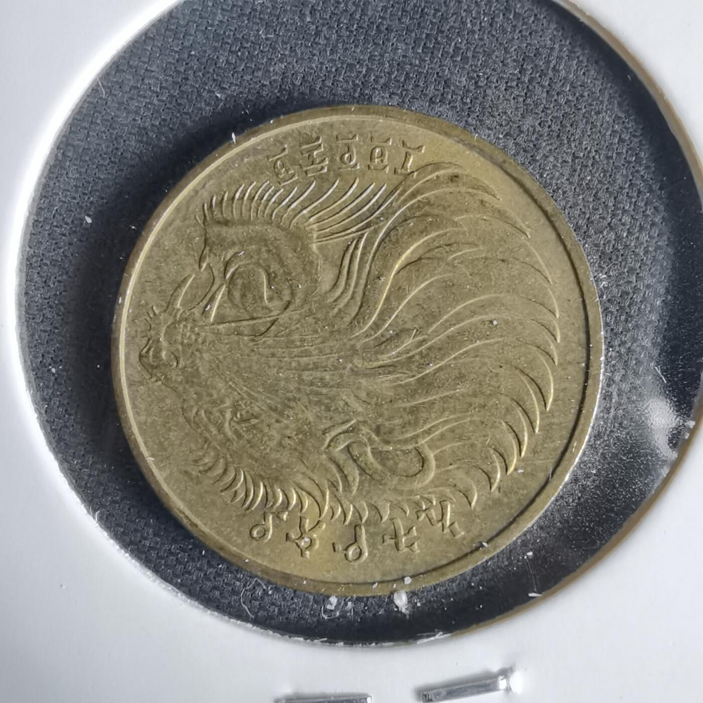 沼泽如烟--第1031场 埃塞俄比亚