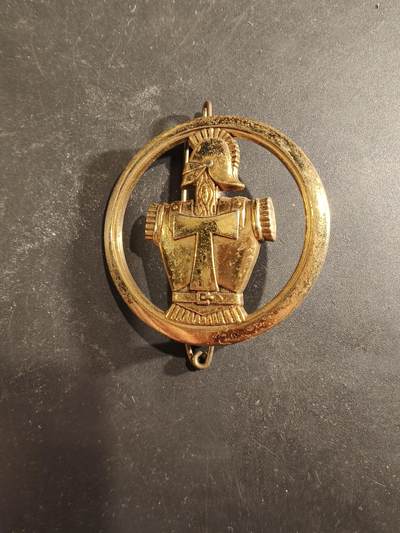 老王徽章第189期 - 法国通信兵贝雷帽徽   金色