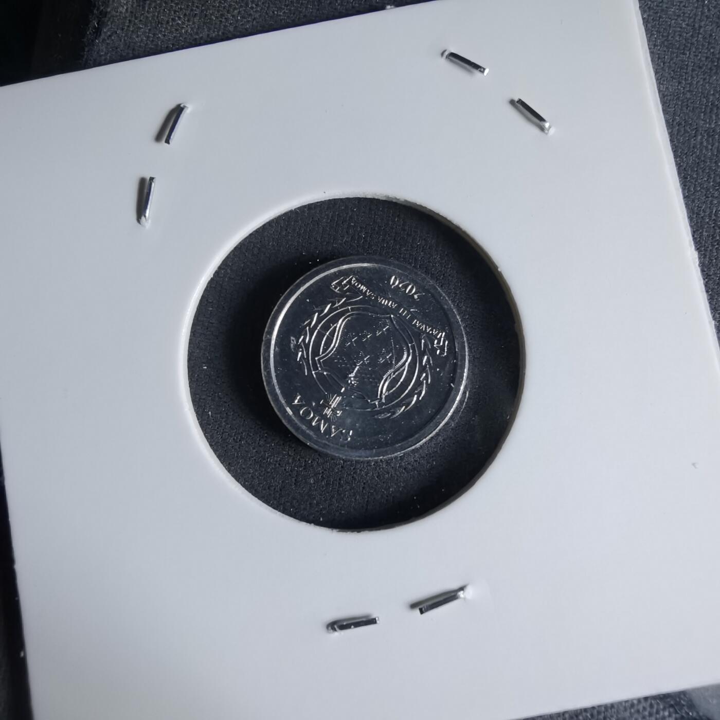 沼泽如烟--第1032场 萨摩亚小鸟