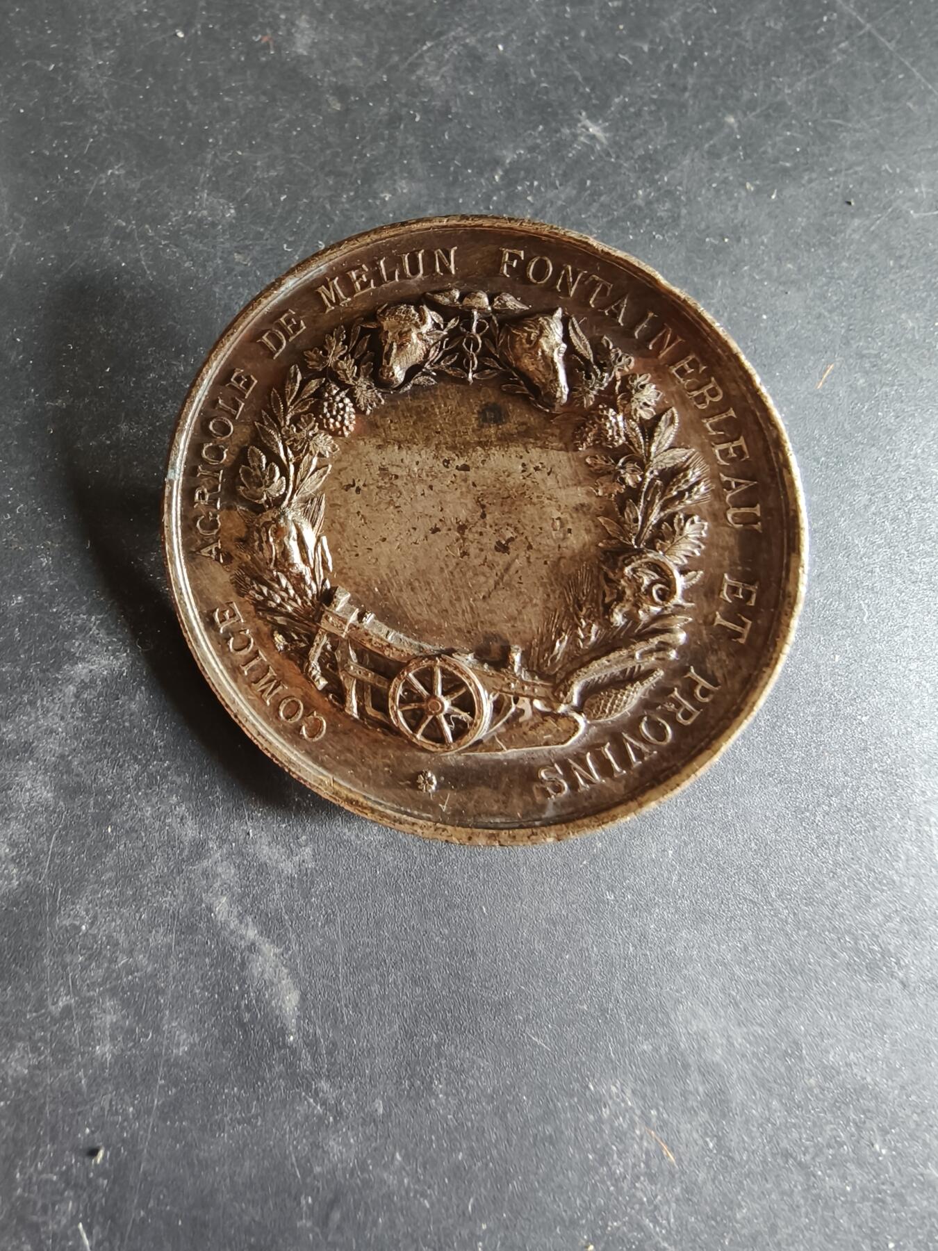 老王徽章第189期 法国枫丹白露农业委员会镀银单面大铜章     直径50mm    重量40.8g