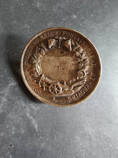 老王徽章第189期 - 法国枫丹白露农业委员会镀银单面大铜章     直径50mm    重量40.8g