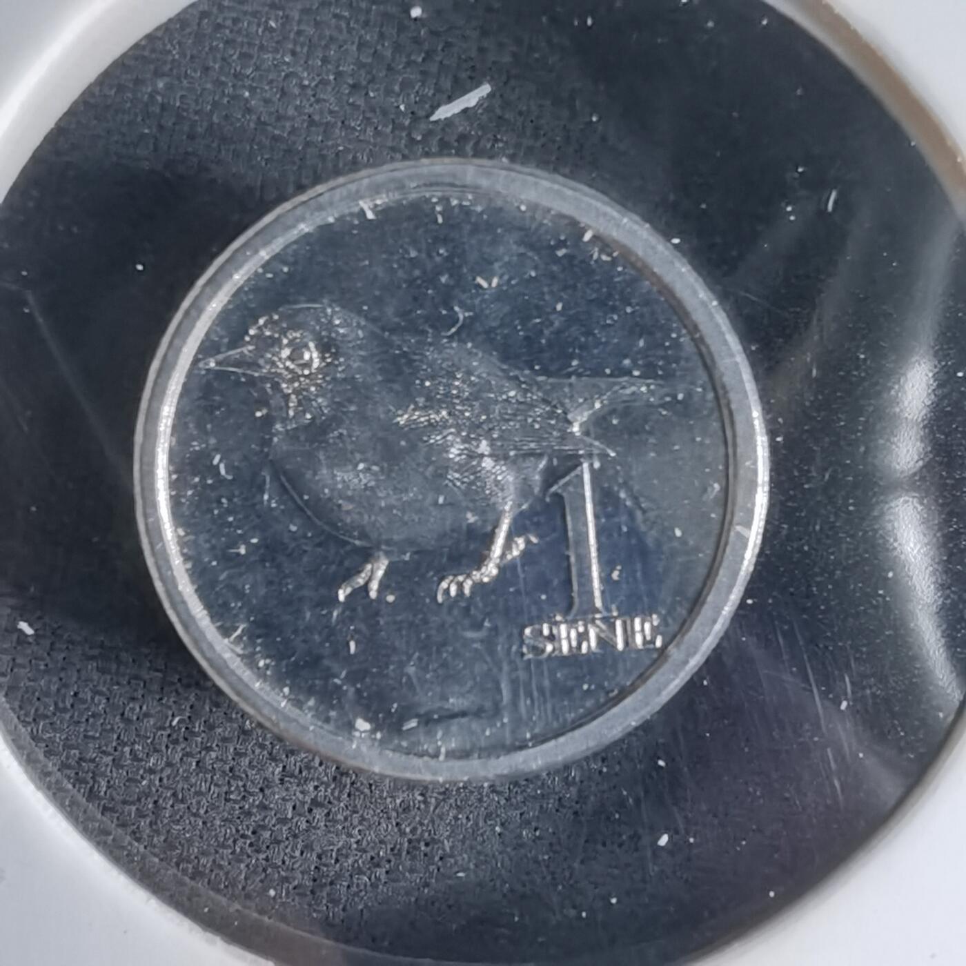 沼泽如烟--第1032场 萨摩亚小鸟