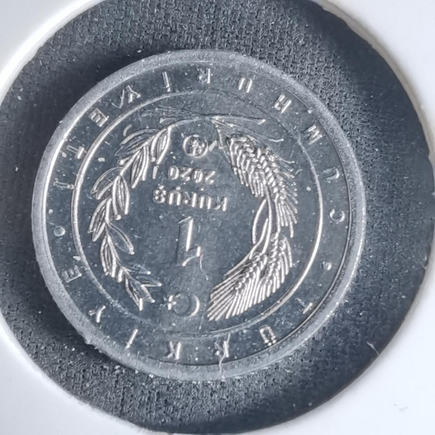 沼泽如烟--第1032场 土耳其小鸟