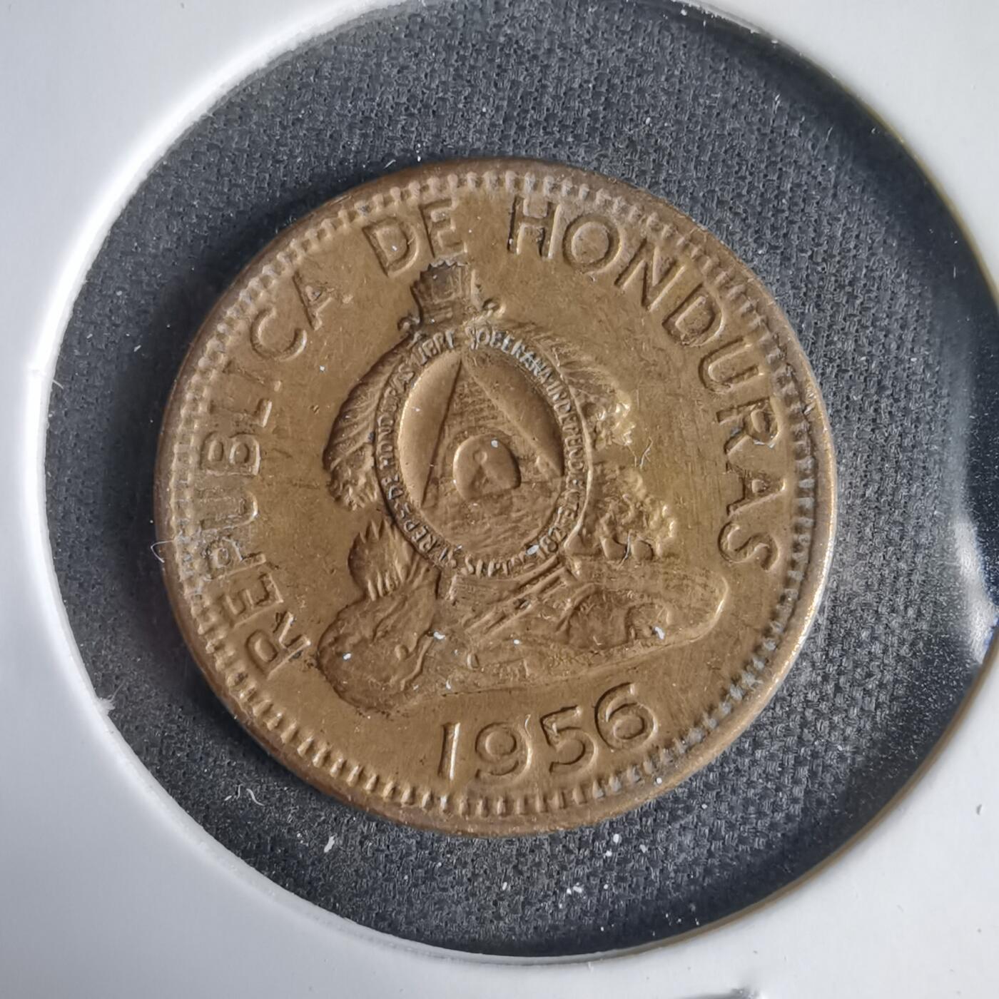 沼泽如烟--第1031场