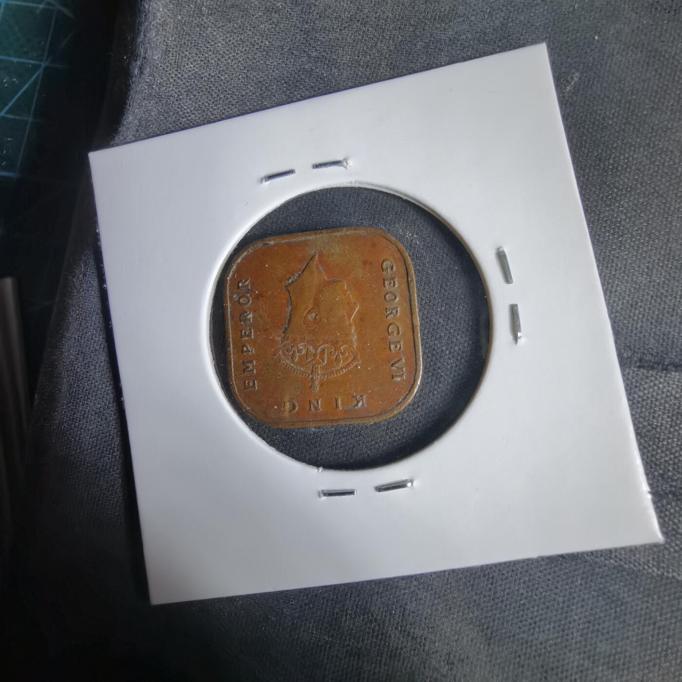 沼泽如烟--第1031场