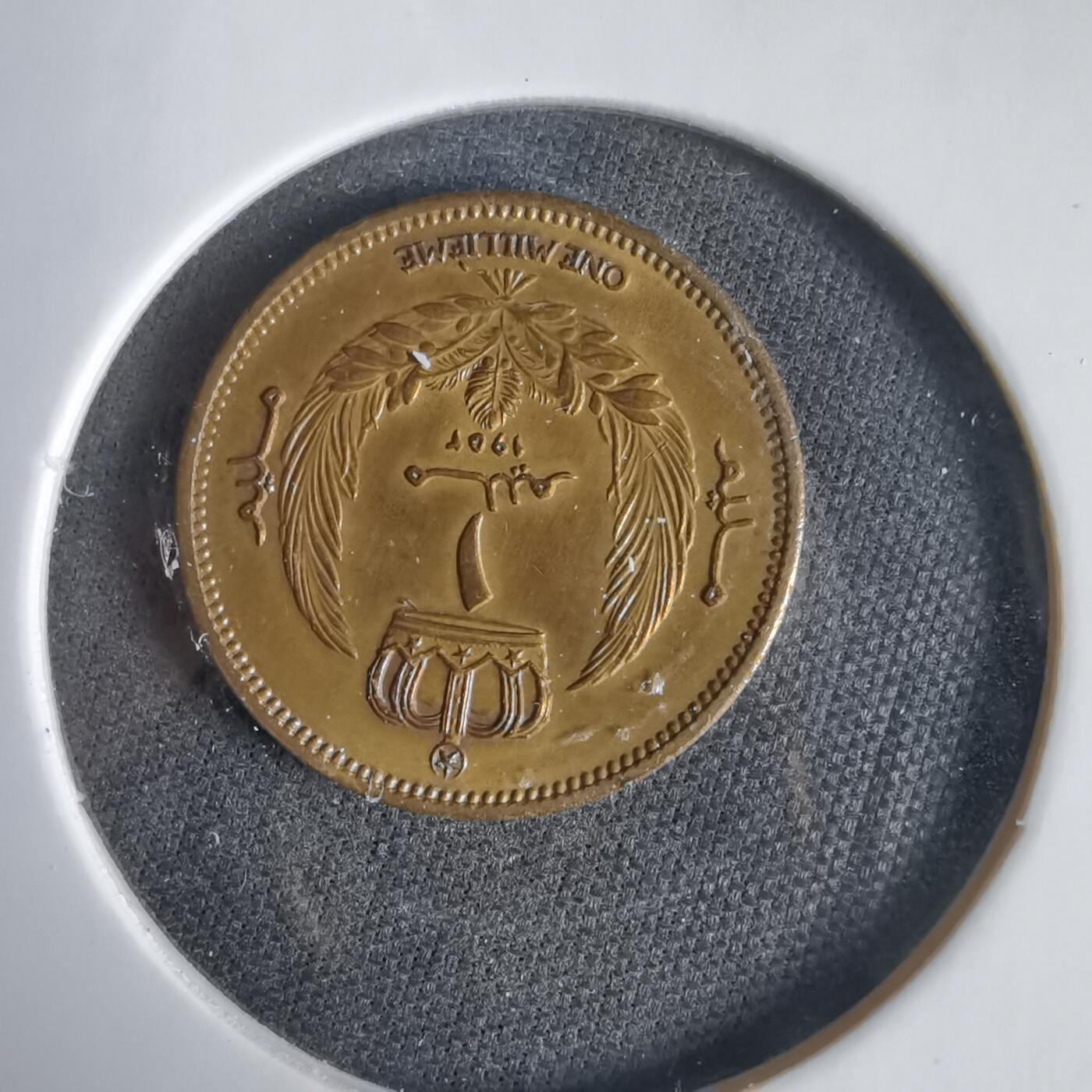 沼泽如烟--第1031场