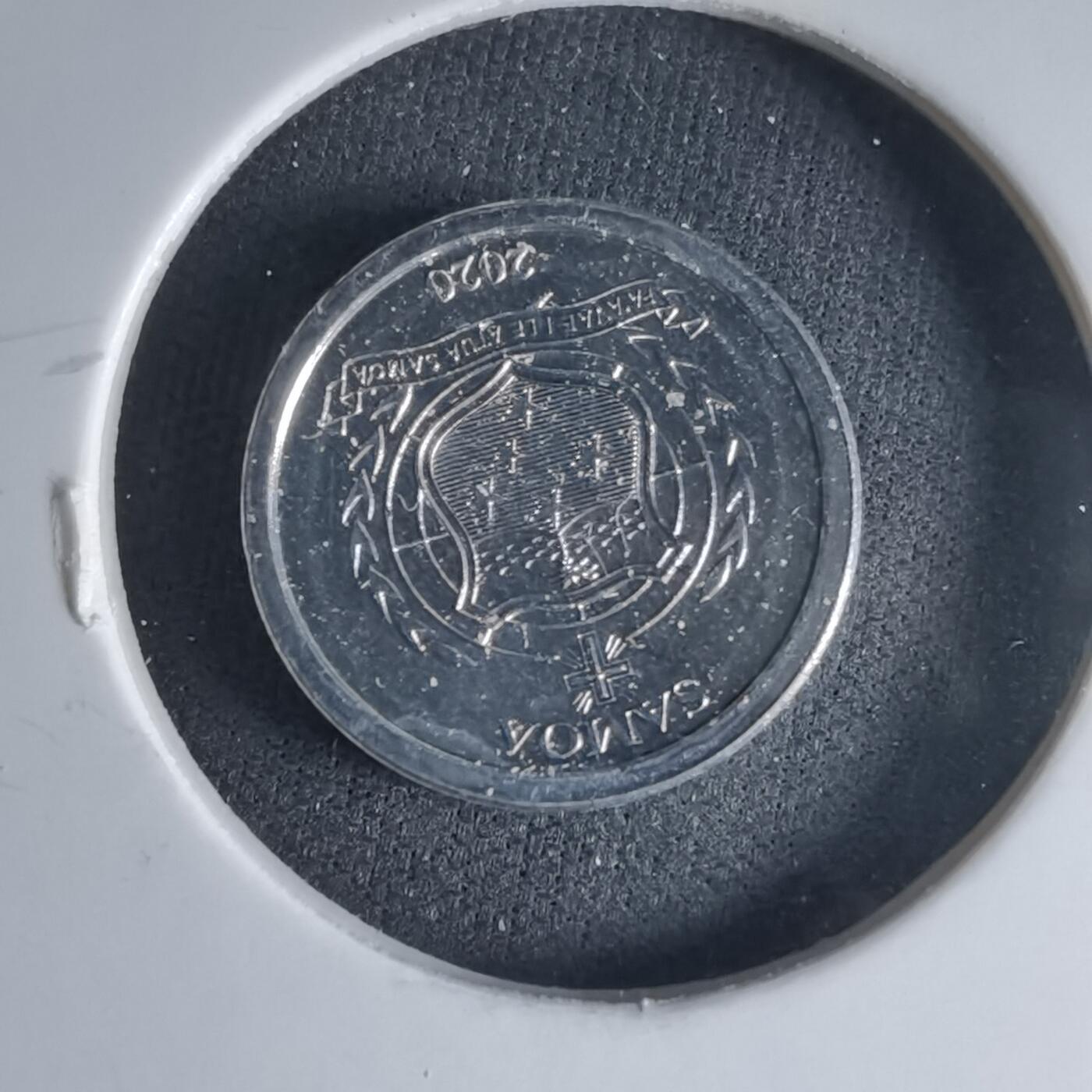 沼泽如烟--第1032场 萨摩亚小鸟