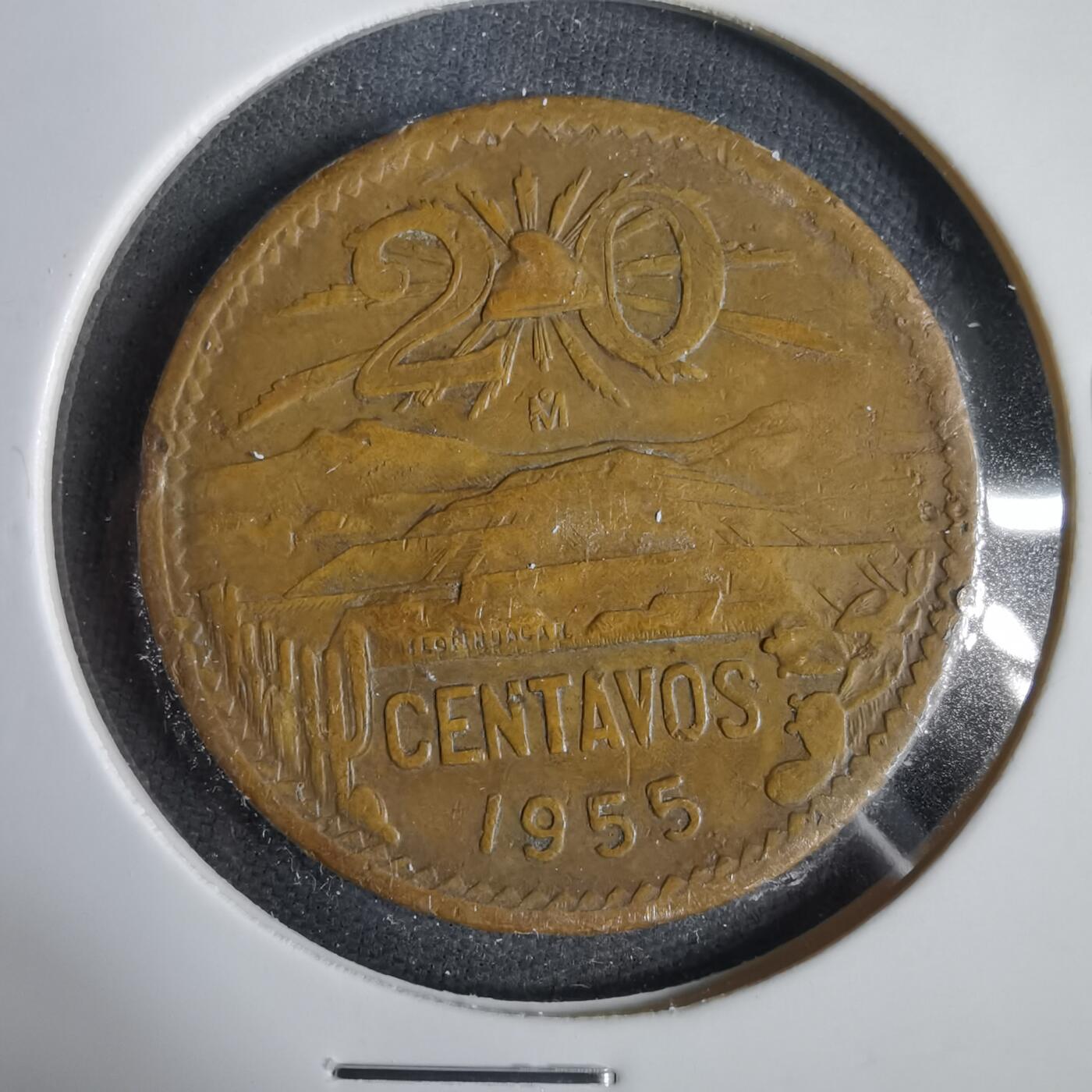 沼泽如烟--第1031场