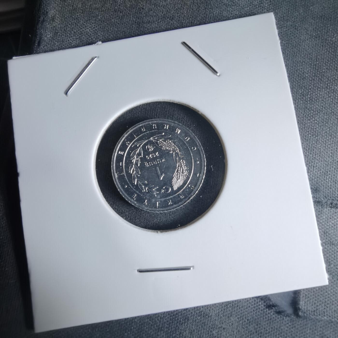 沼泽如烟--第1032场 土耳其小鸟