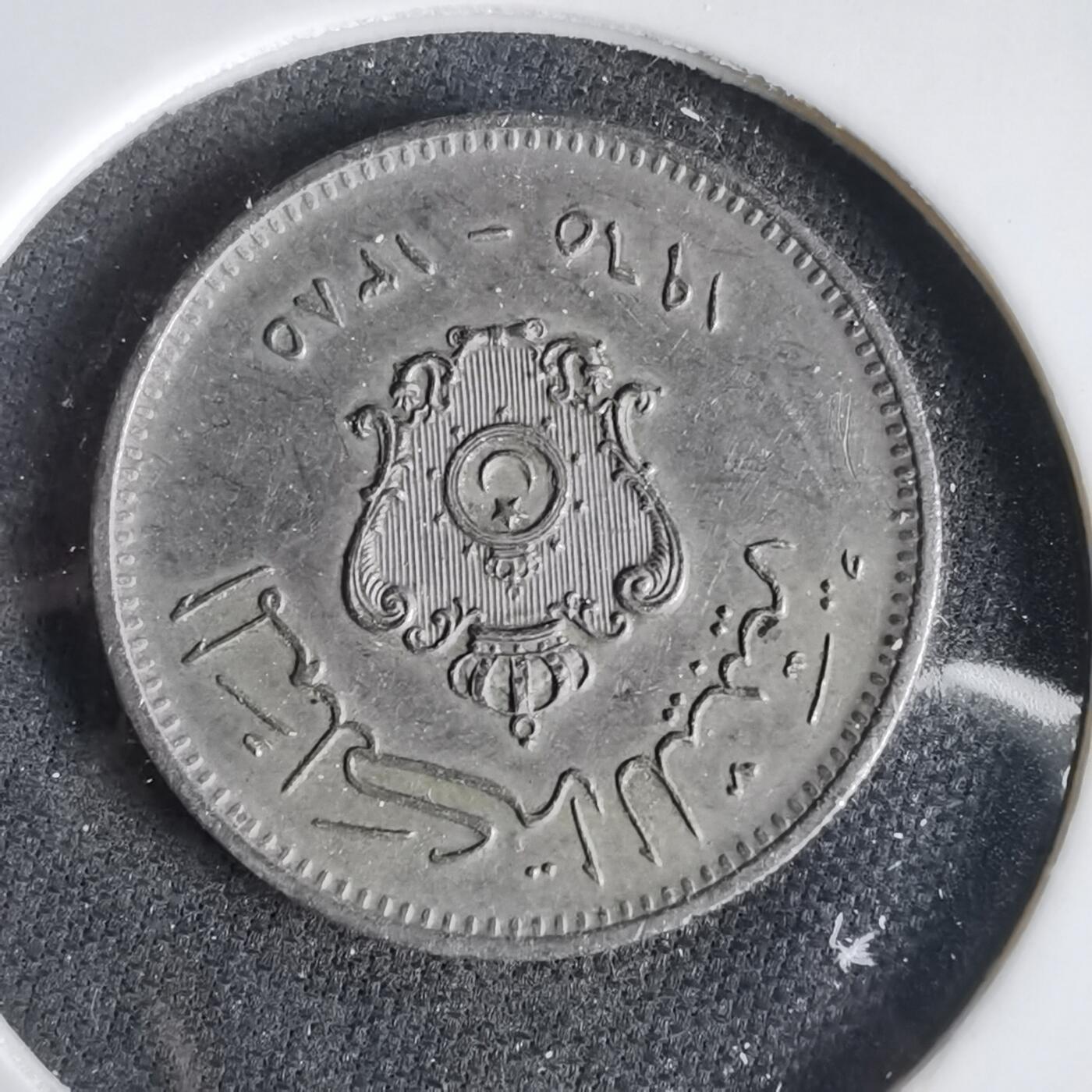 沼泽如烟--第1031场