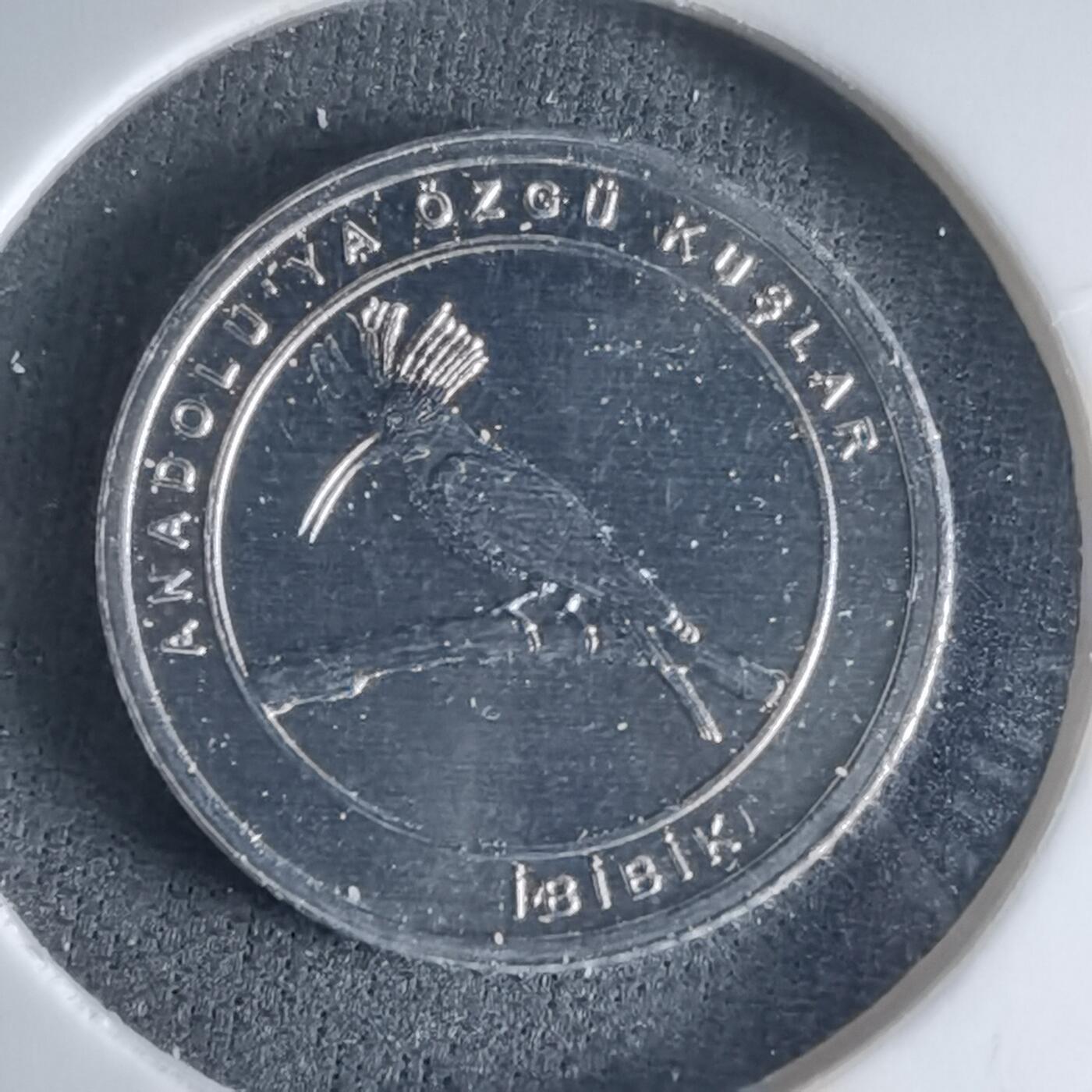 沼泽如烟--第1032场 土耳其小鸟