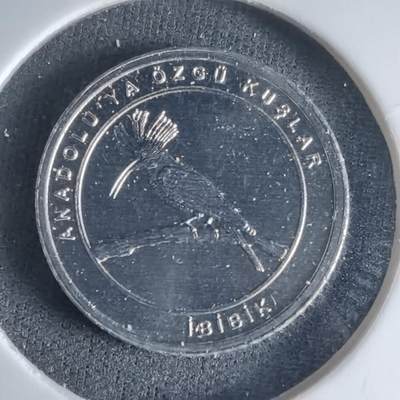 沼泽如烟--第1032场 - 土耳其小鸟