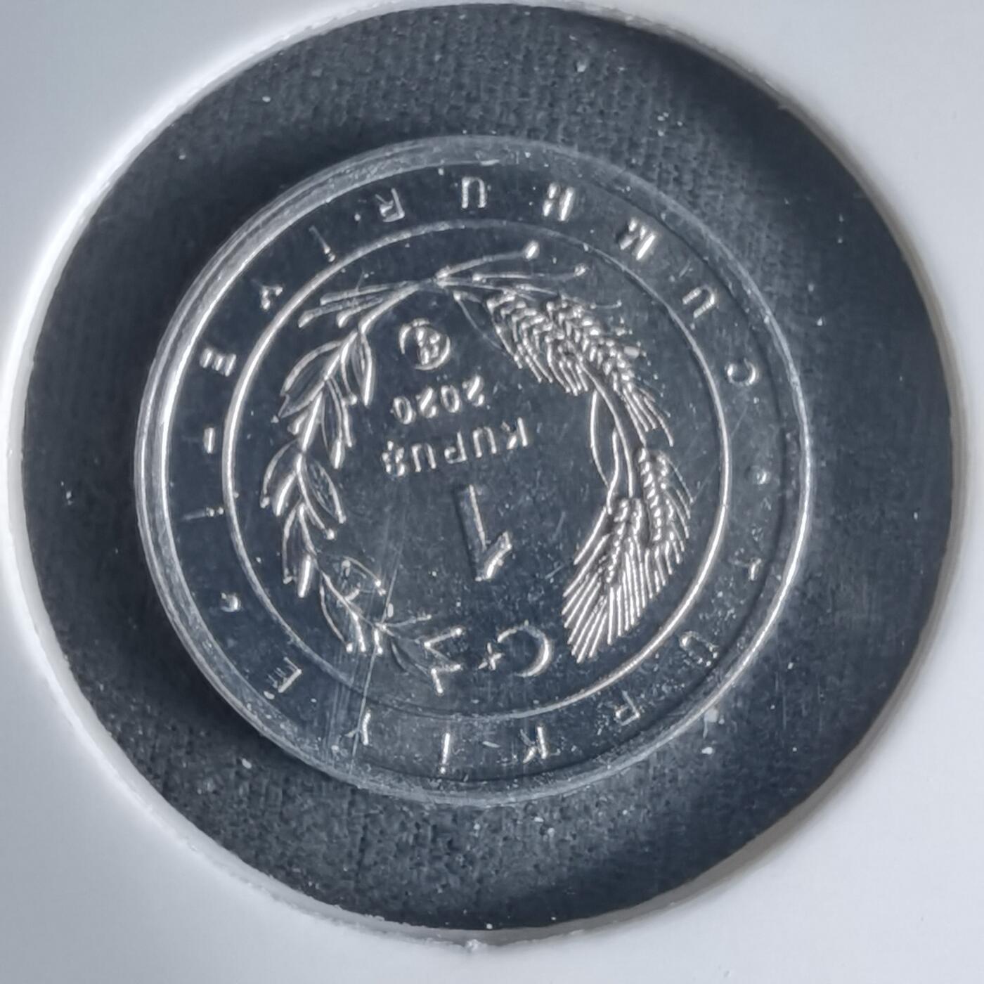 沼泽如烟--第1032场 土耳其小鸟