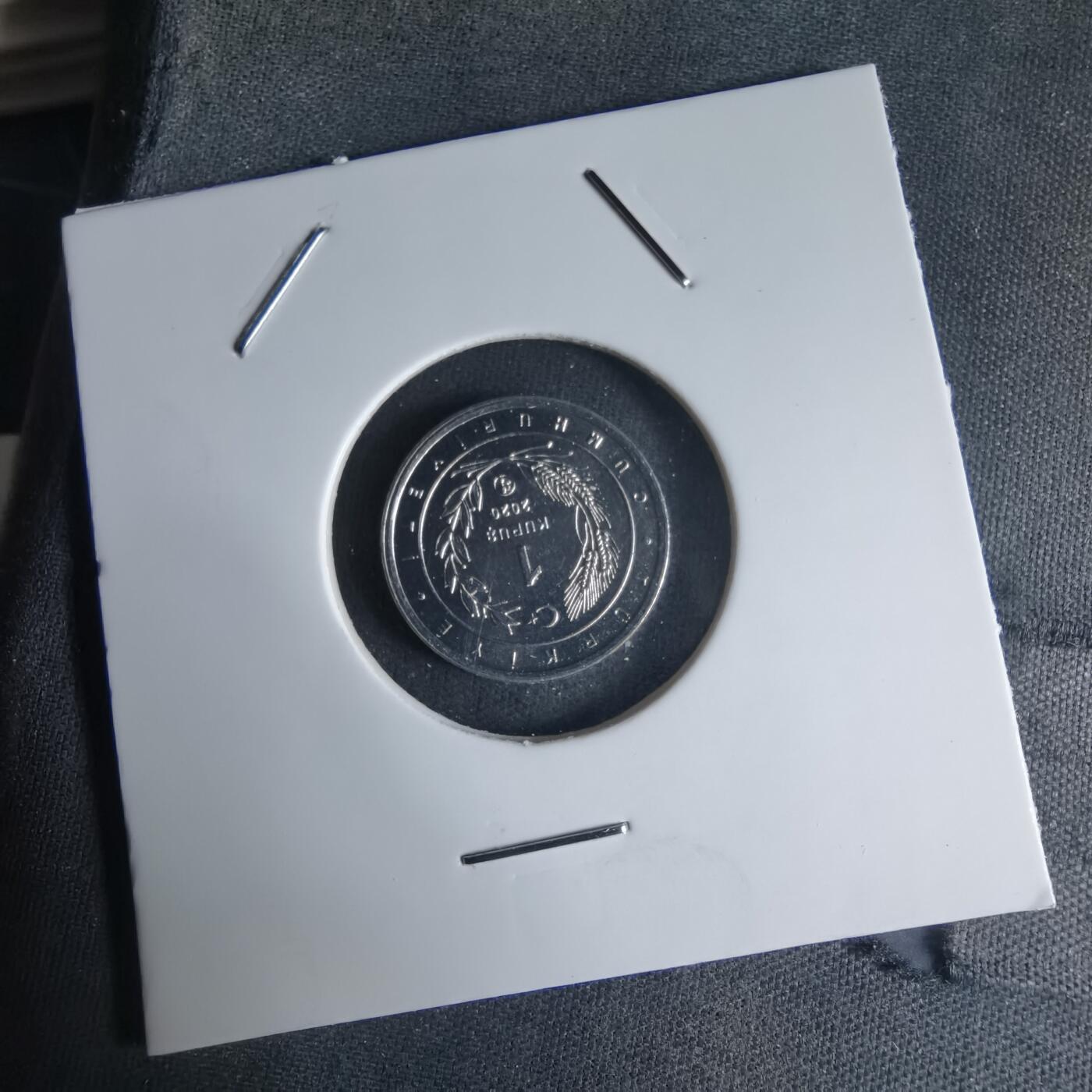 沼泽如烟--第1032场 土耳其小鸟