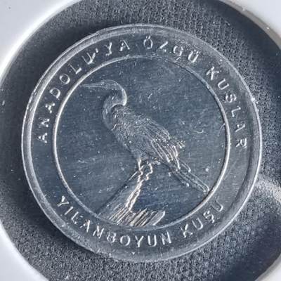 沼泽如烟--第1032场 - 土耳其小鸟