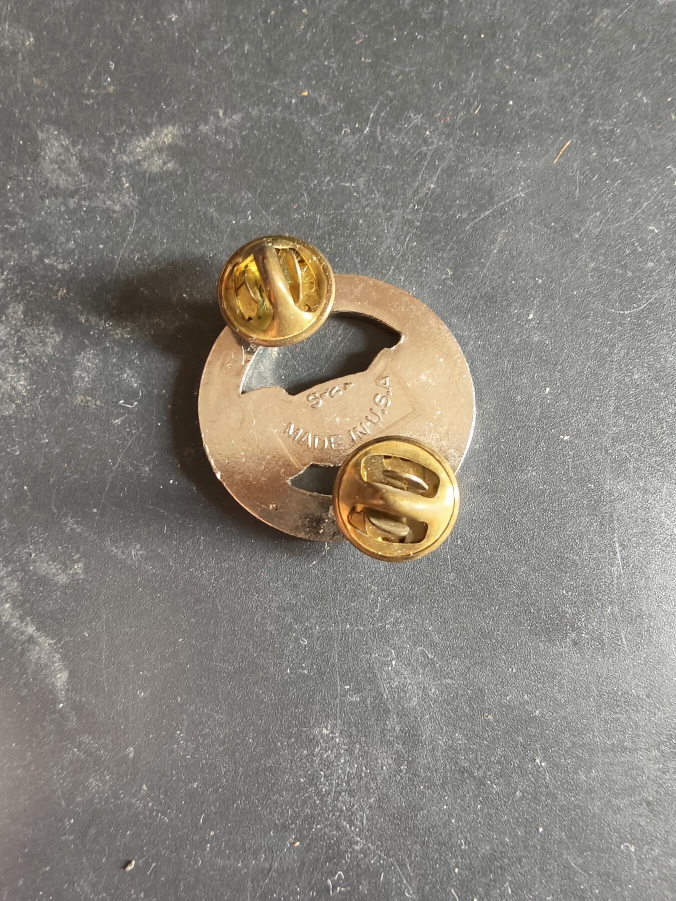 老王徽章第189期 美国陆军第104训练师证章