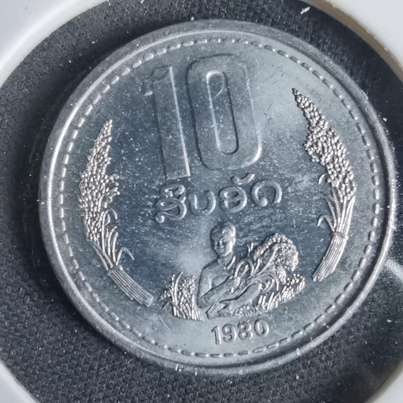 沼泽如烟--第1031场