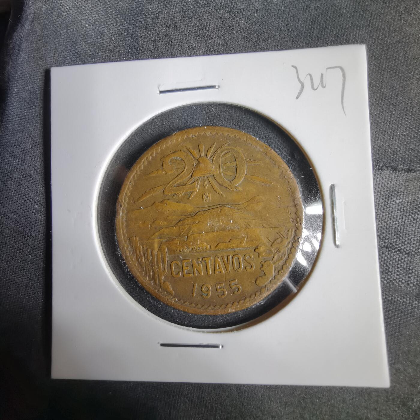 沼泽如烟--第1031场