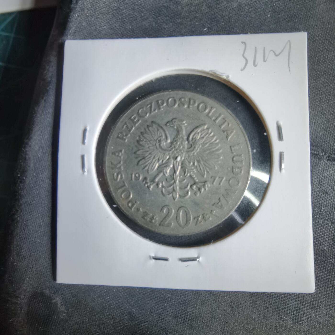 沼泽如烟--第1031场