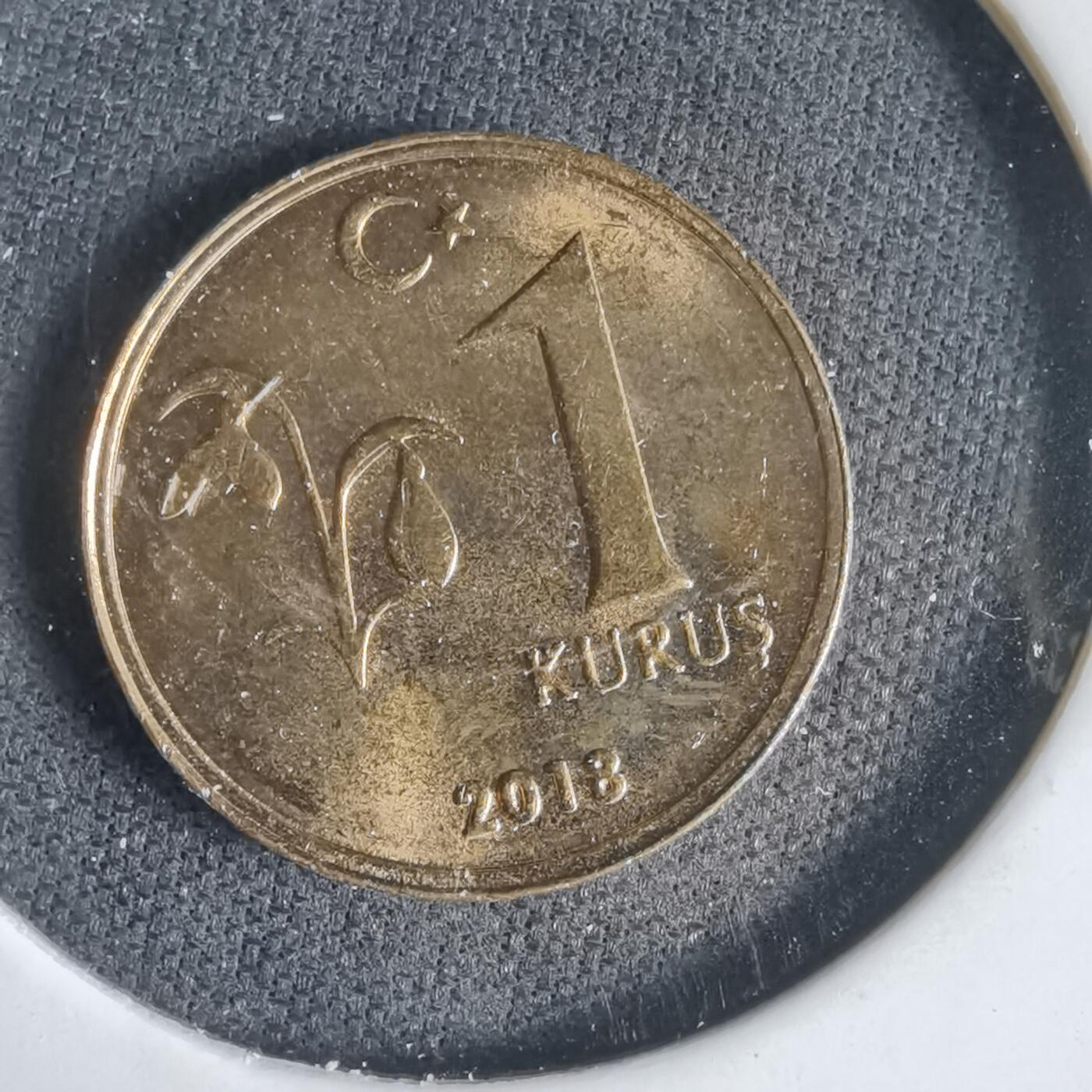 沼泽如烟--第1031场 土耳其2018年1库鲁