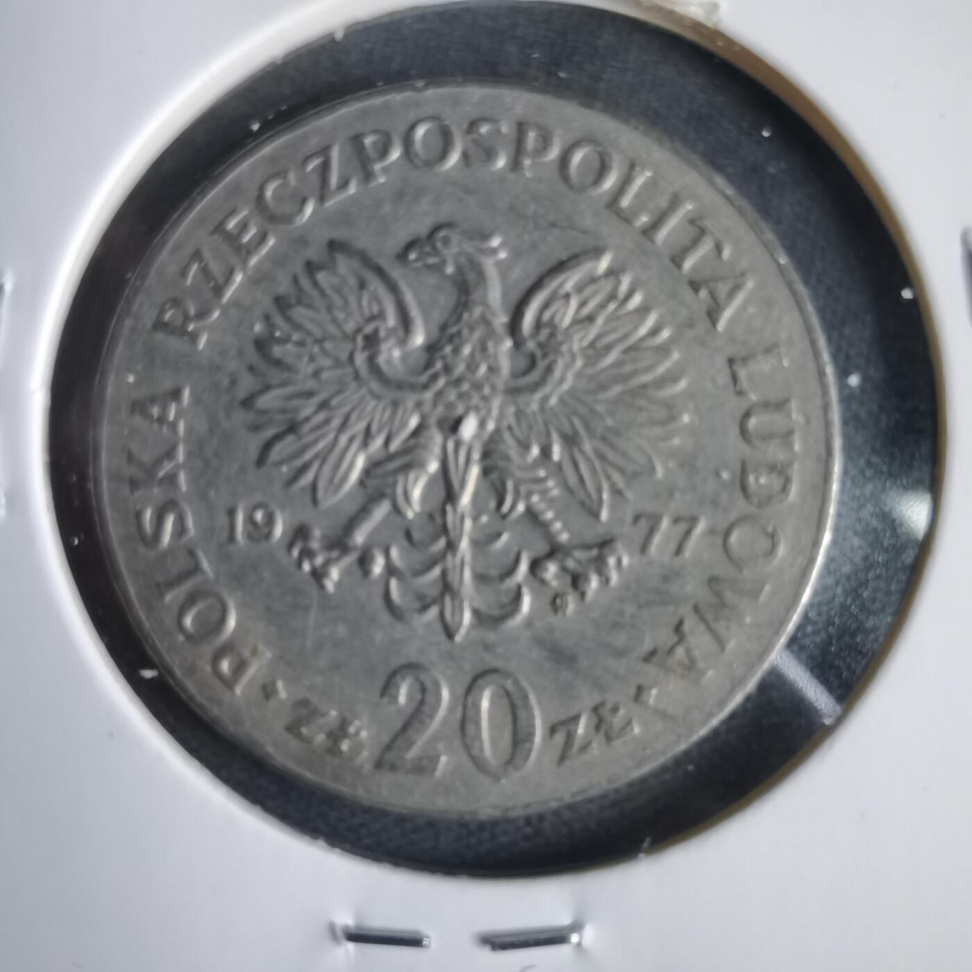 沼泽如烟--第1031场