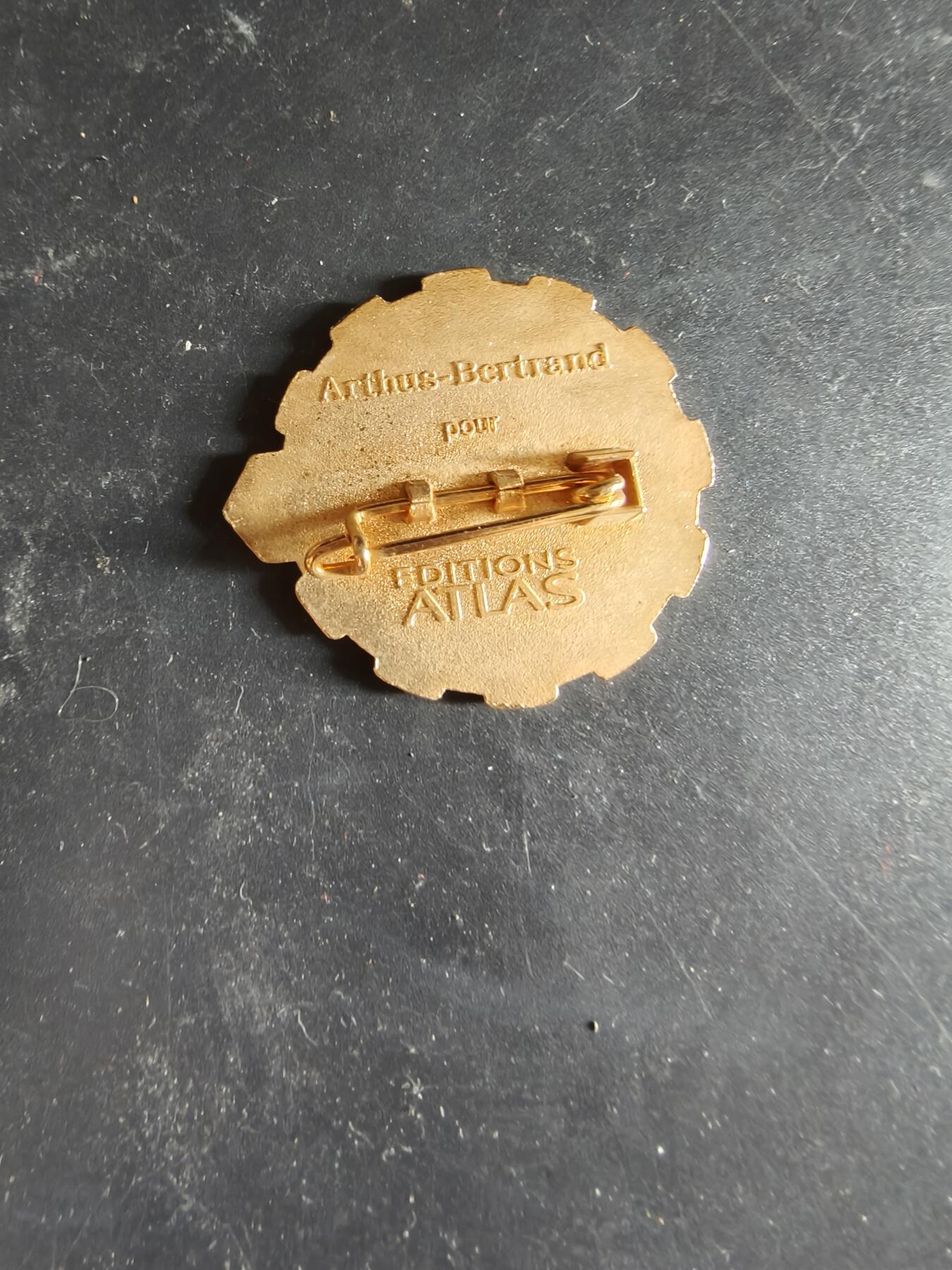 老王徽章第189期 法国陆军第515运输团证章