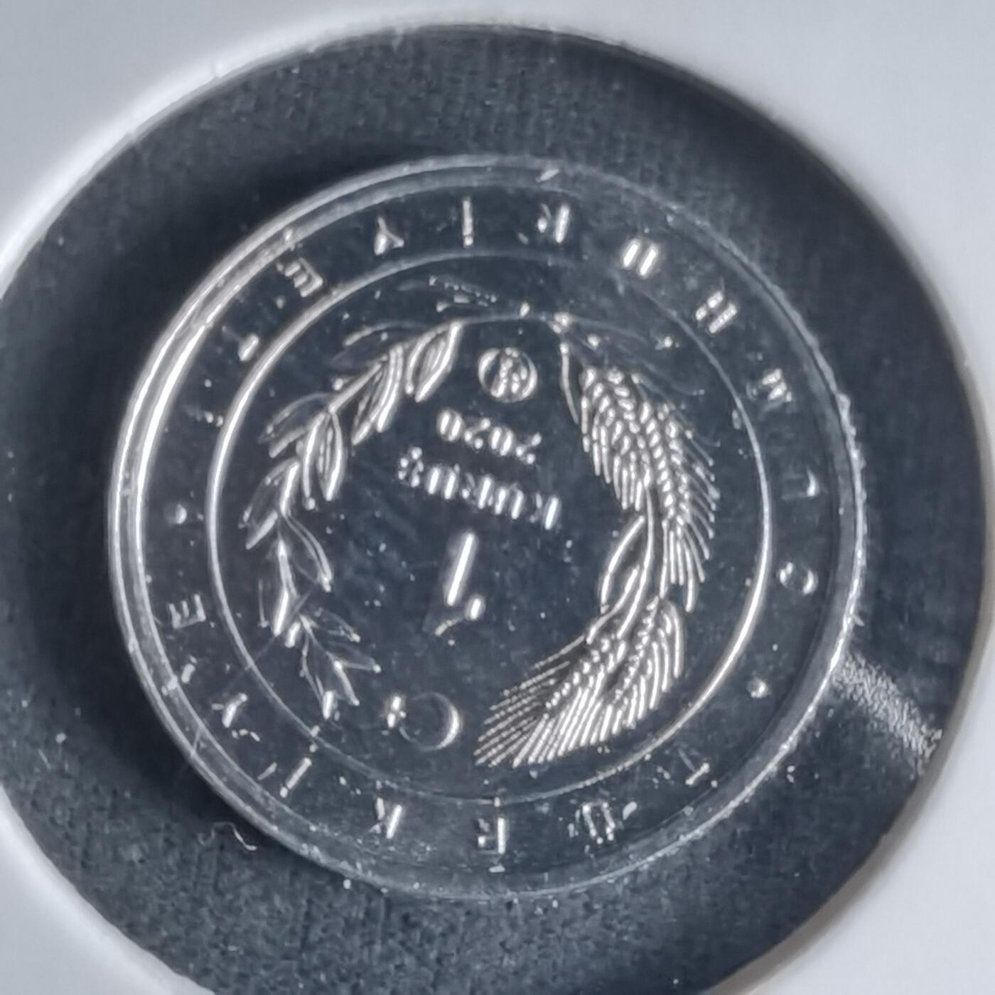 沼泽如烟--第1032场 土耳其小鸟