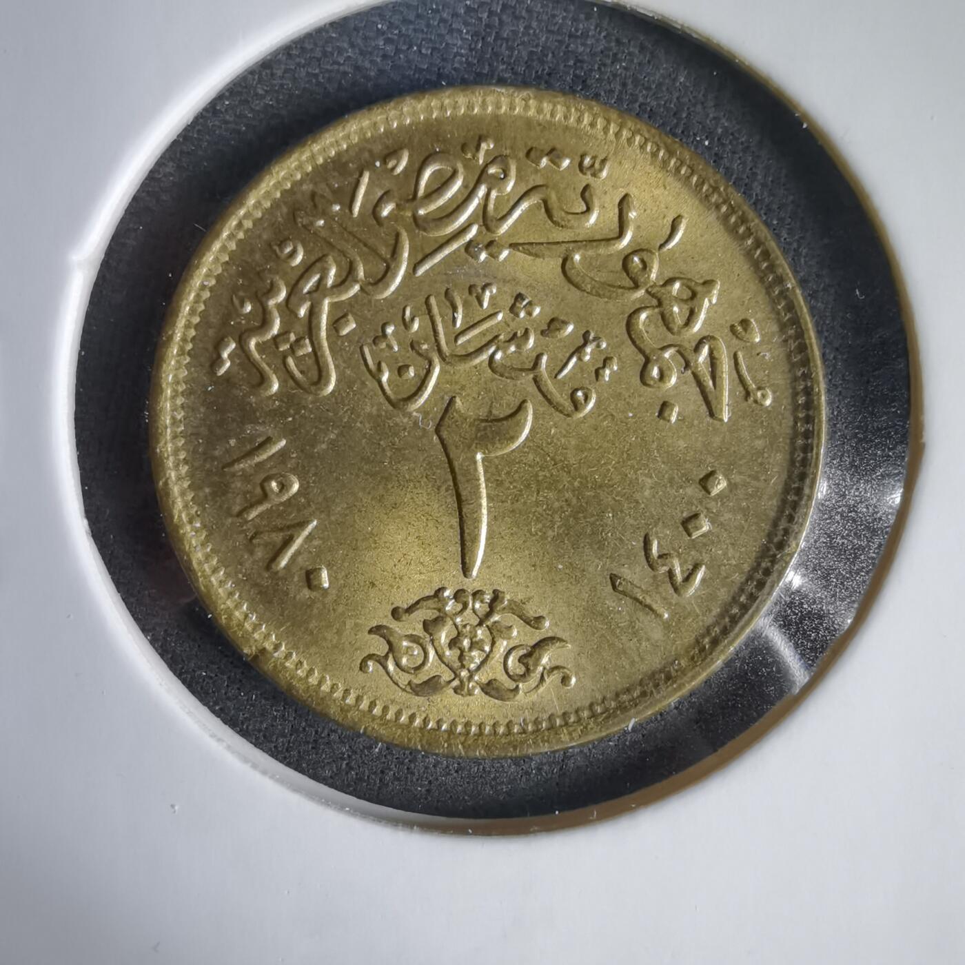 沼泽如烟--第1031场 埃及