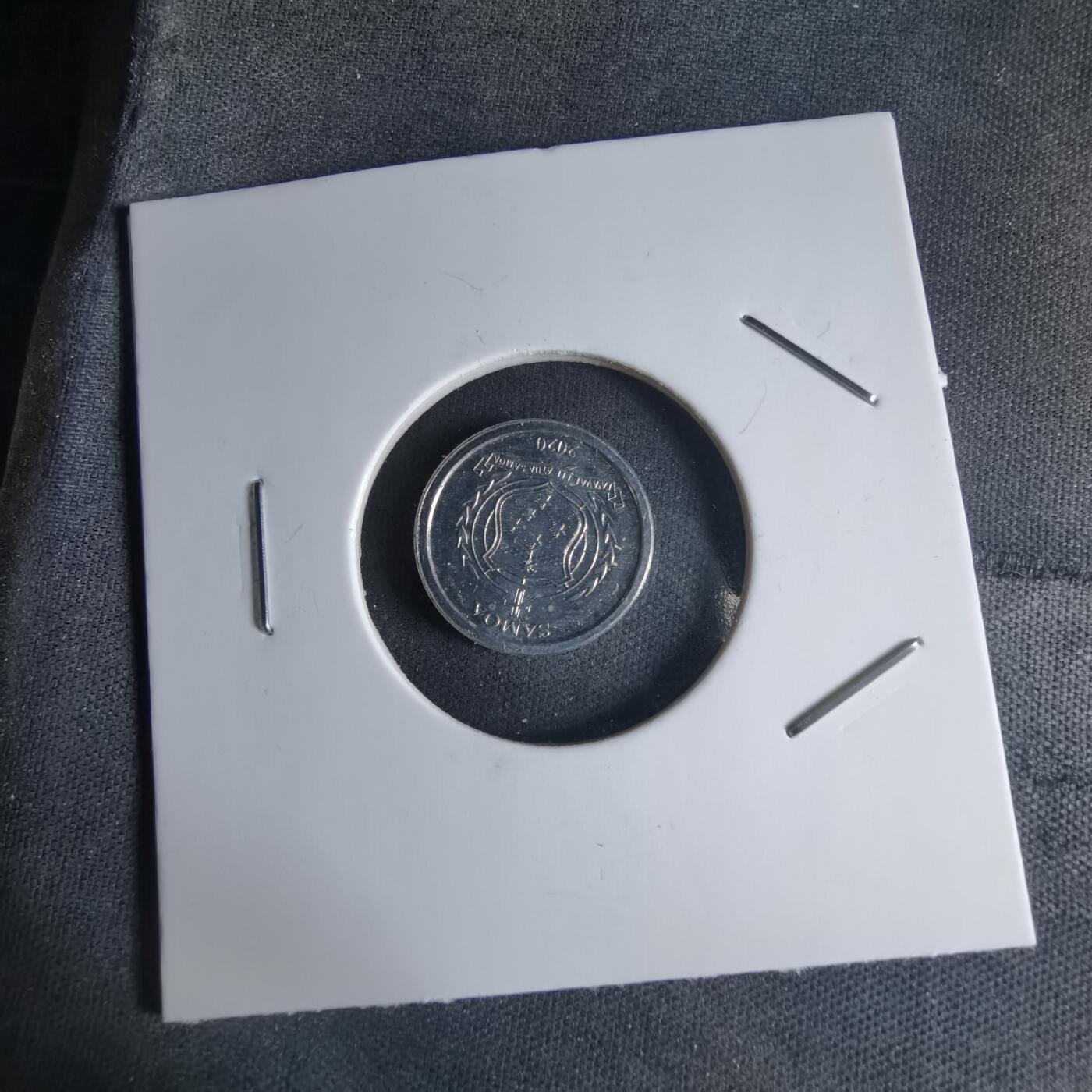 沼泽如烟--第1032场 萨摩亚小鸟