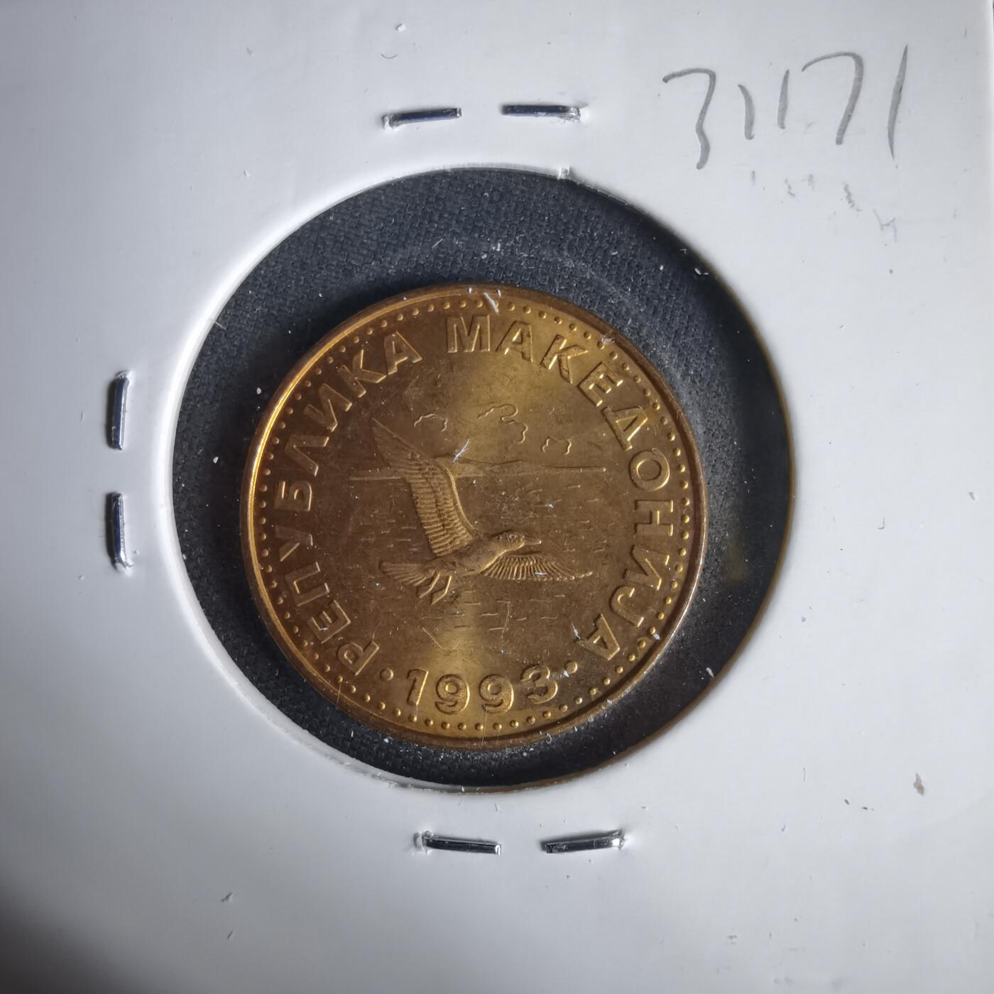 沼泽如烟--第1031场