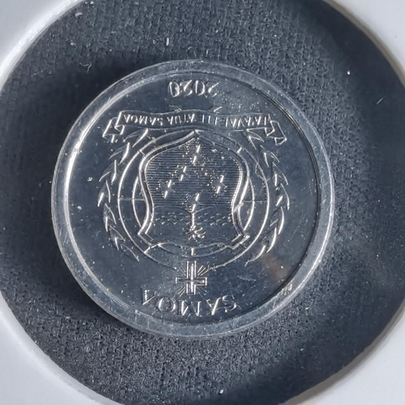 沼泽如烟--第1032场 萨摩亚小鸟