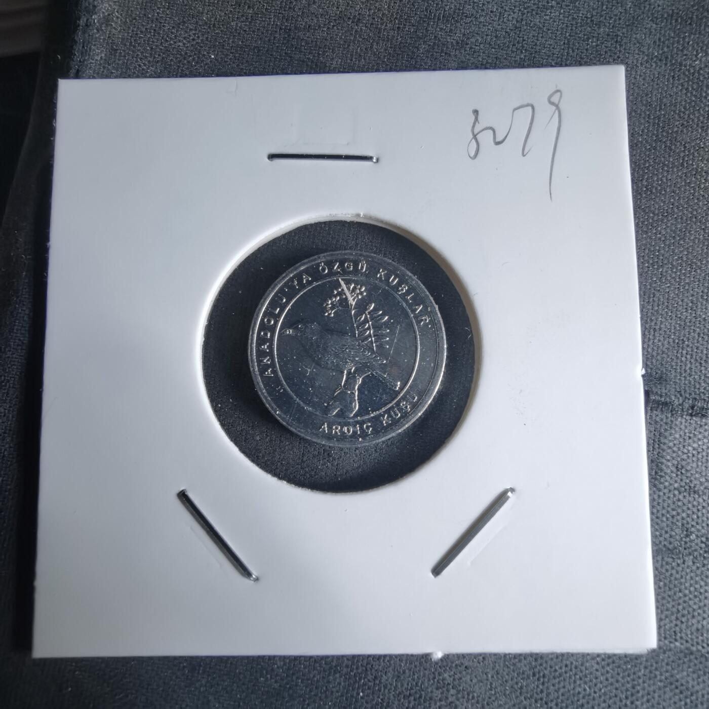 沼泽如烟--第1032场 土耳其小鸟