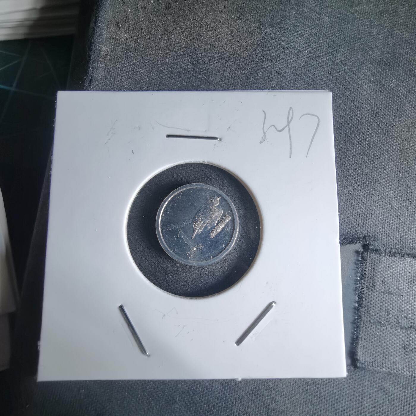 沼泽如烟--第1032场 萨摩亚小鸟