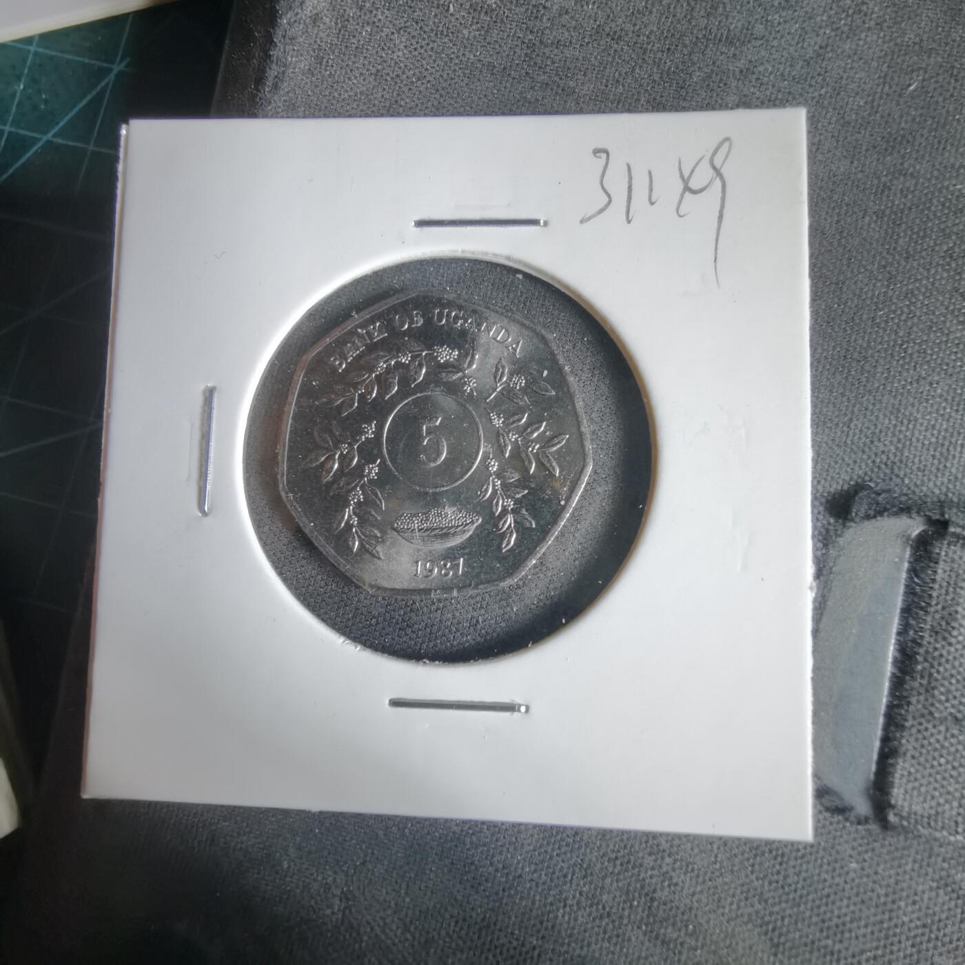 沼泽如烟--第1031场