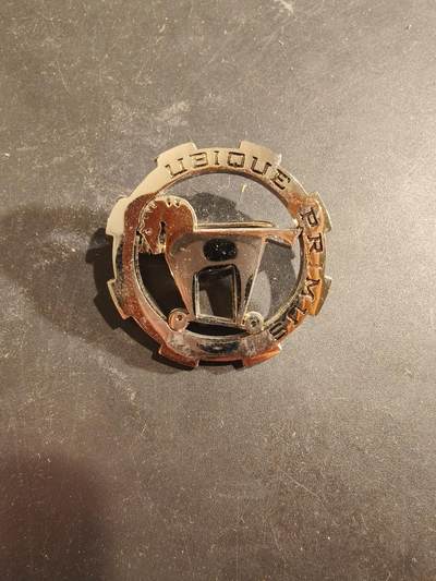 老王徽章第189期 - 法国陆军第1非洲轻骑兵团证章