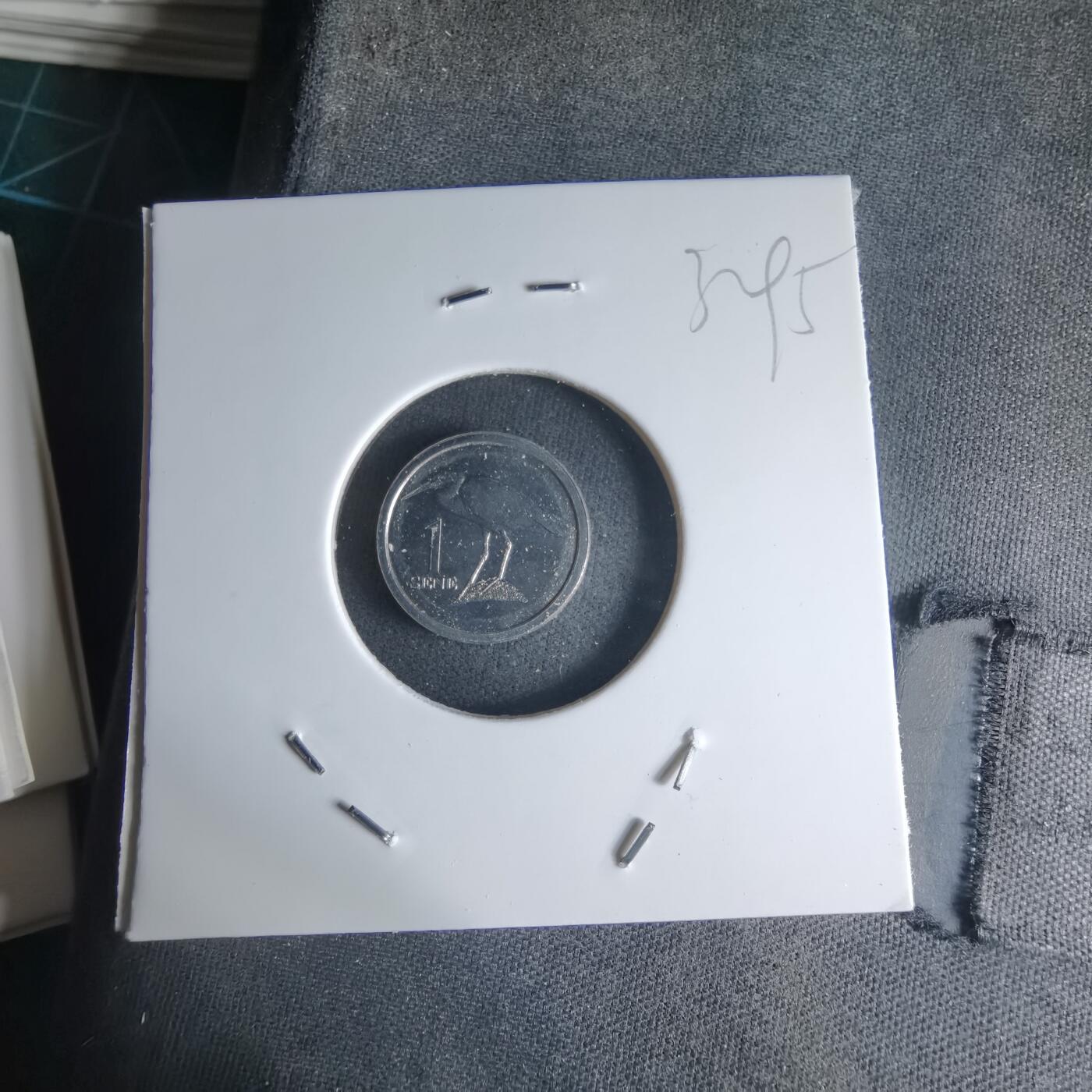 沼泽如烟--第1032场 萨摩亚小鸟