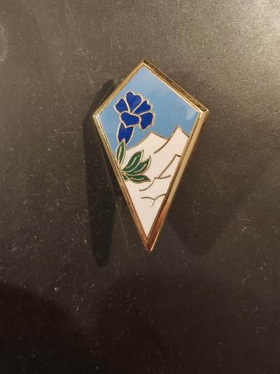 老王徽章第189期 - 法国陆军第27山地步兵师证章       该部队驻扎在格勒诺布尔，专注于高海拔、寒冷天气和山地作战。 