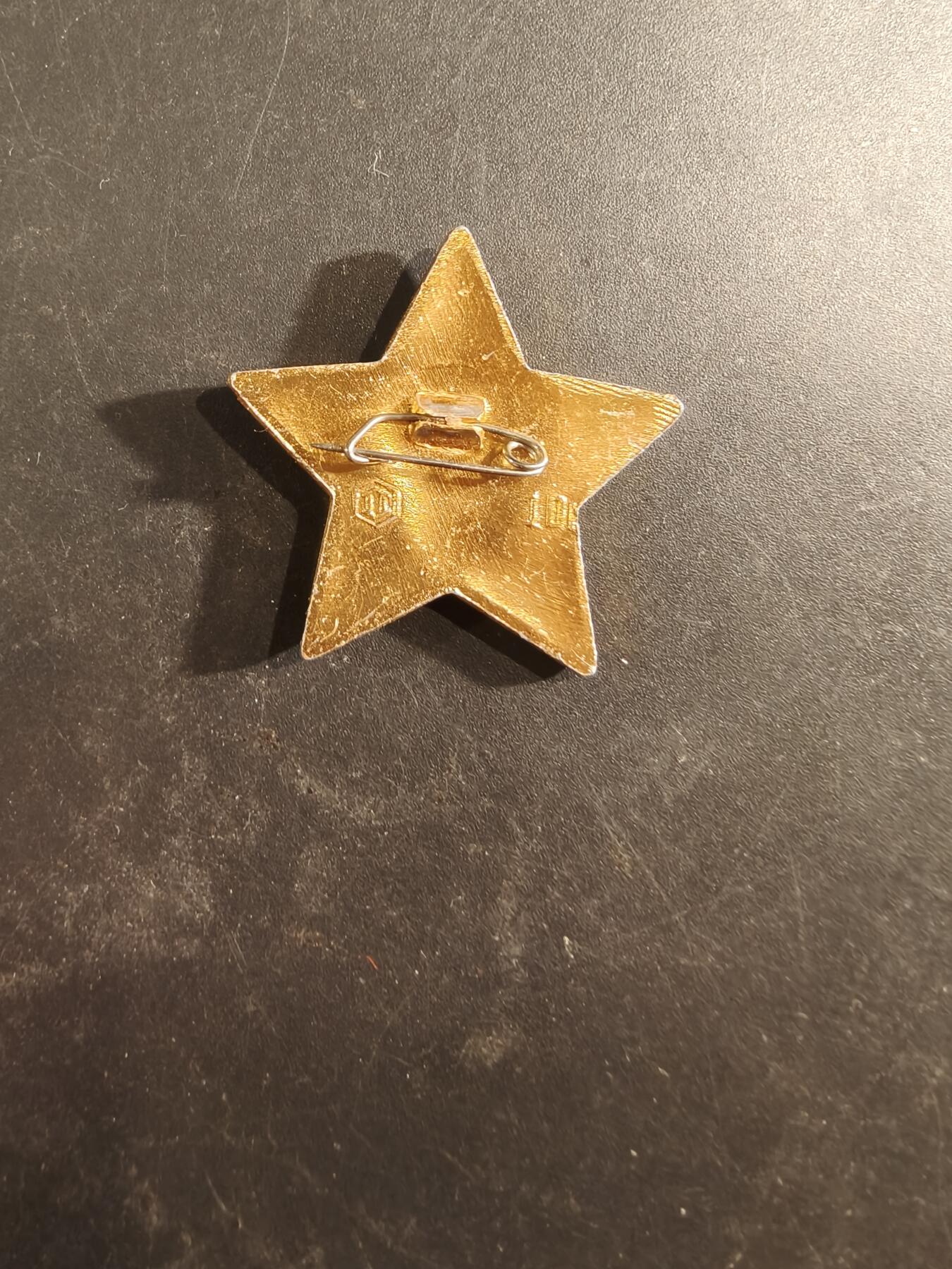 老王徽章第189期 苏联少先队证章