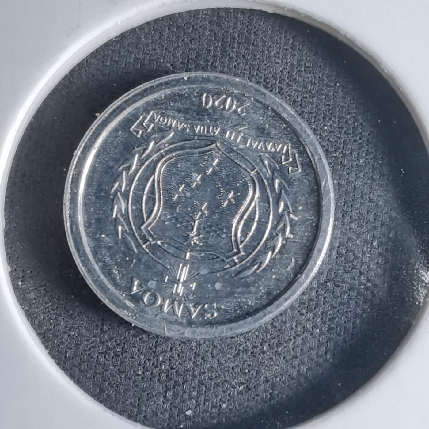 沼泽如烟--第1032场 萨摩亚小鸟