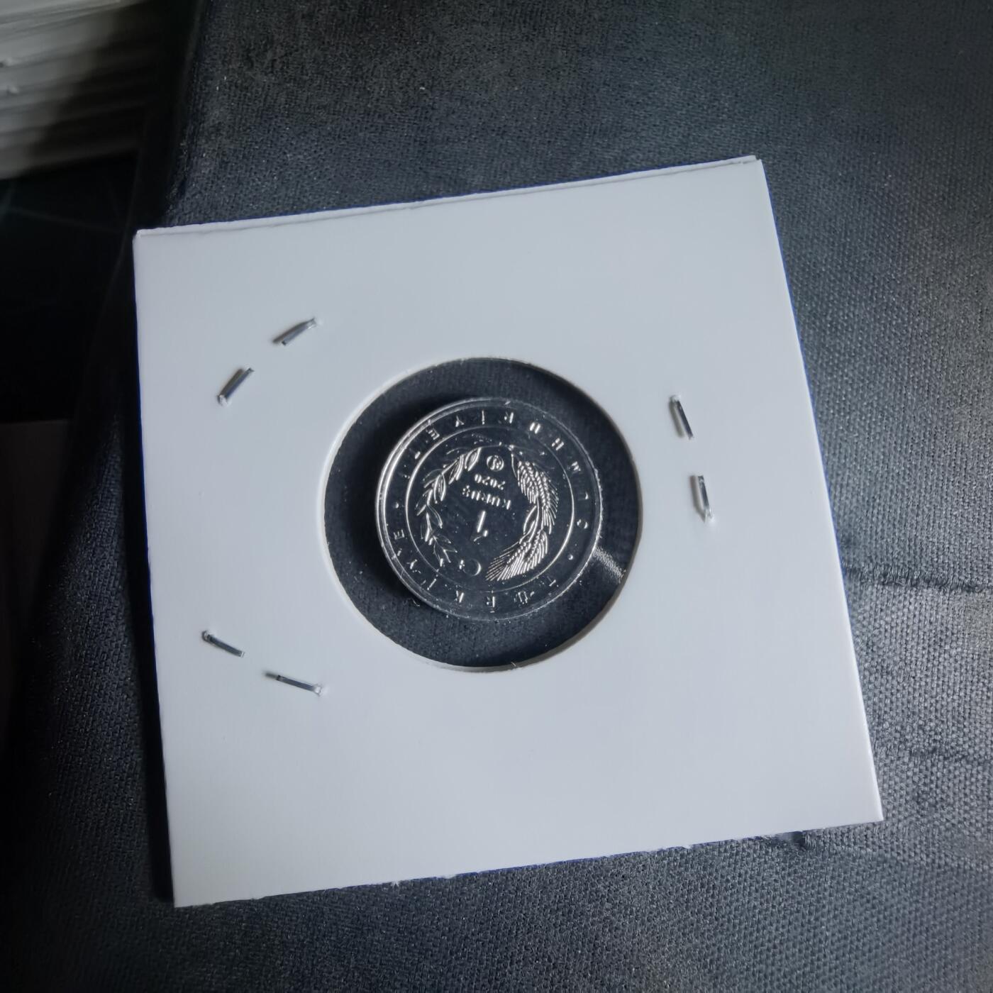 沼泽如烟--第1032场 土耳其小鸟