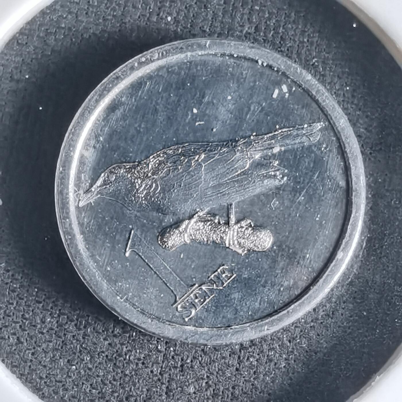 沼泽如烟--第1032场 萨摩亚小鸟