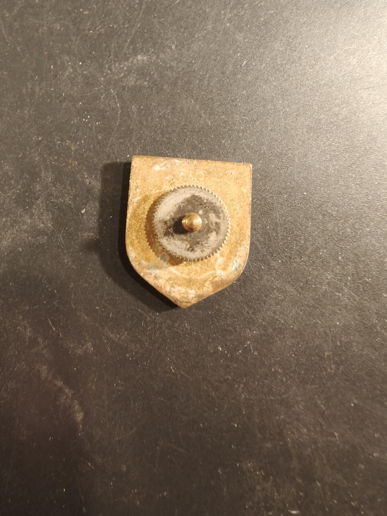 老王徽章第189期 法国里昂市徽章