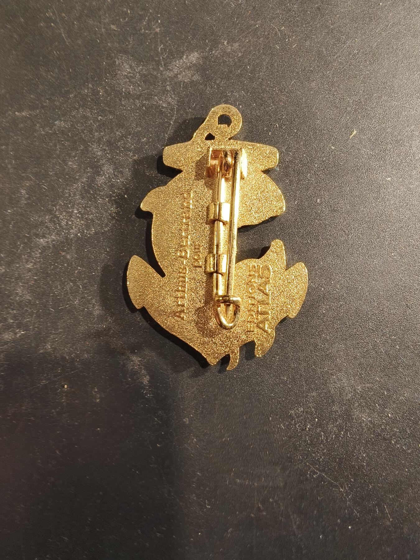 老王徽章第189期 法国海军陆战队第21步兵团证章