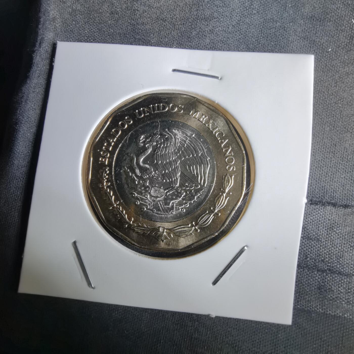 沼泽如烟--第1032场