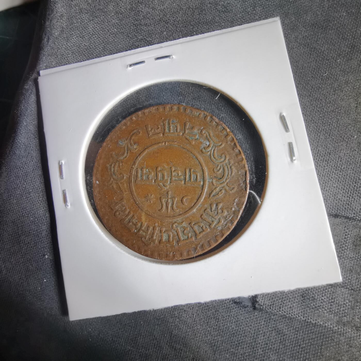 沼泽如烟--第1031场