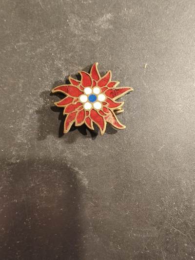 老王徽章第189期 - 德国红色雪绒花徽章