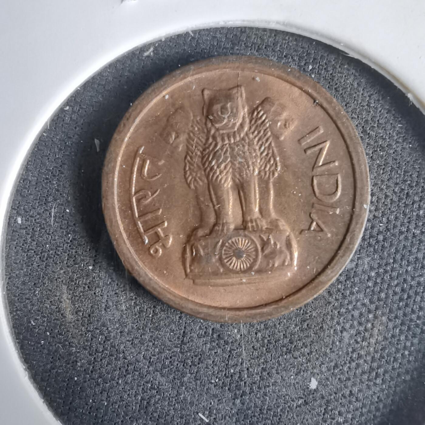 沼泽如烟--第1031场