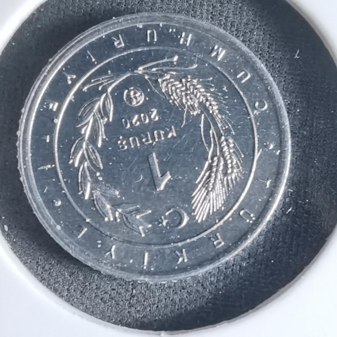 沼泽如烟--第1032场 土耳其小鸟