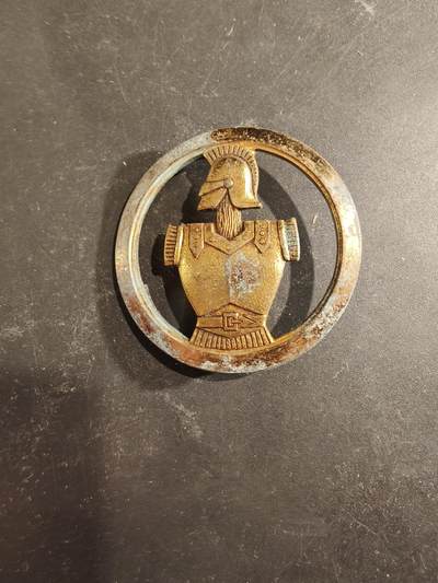 老王徽章第189期 - 法国工兵贝雷帽徽    金色
