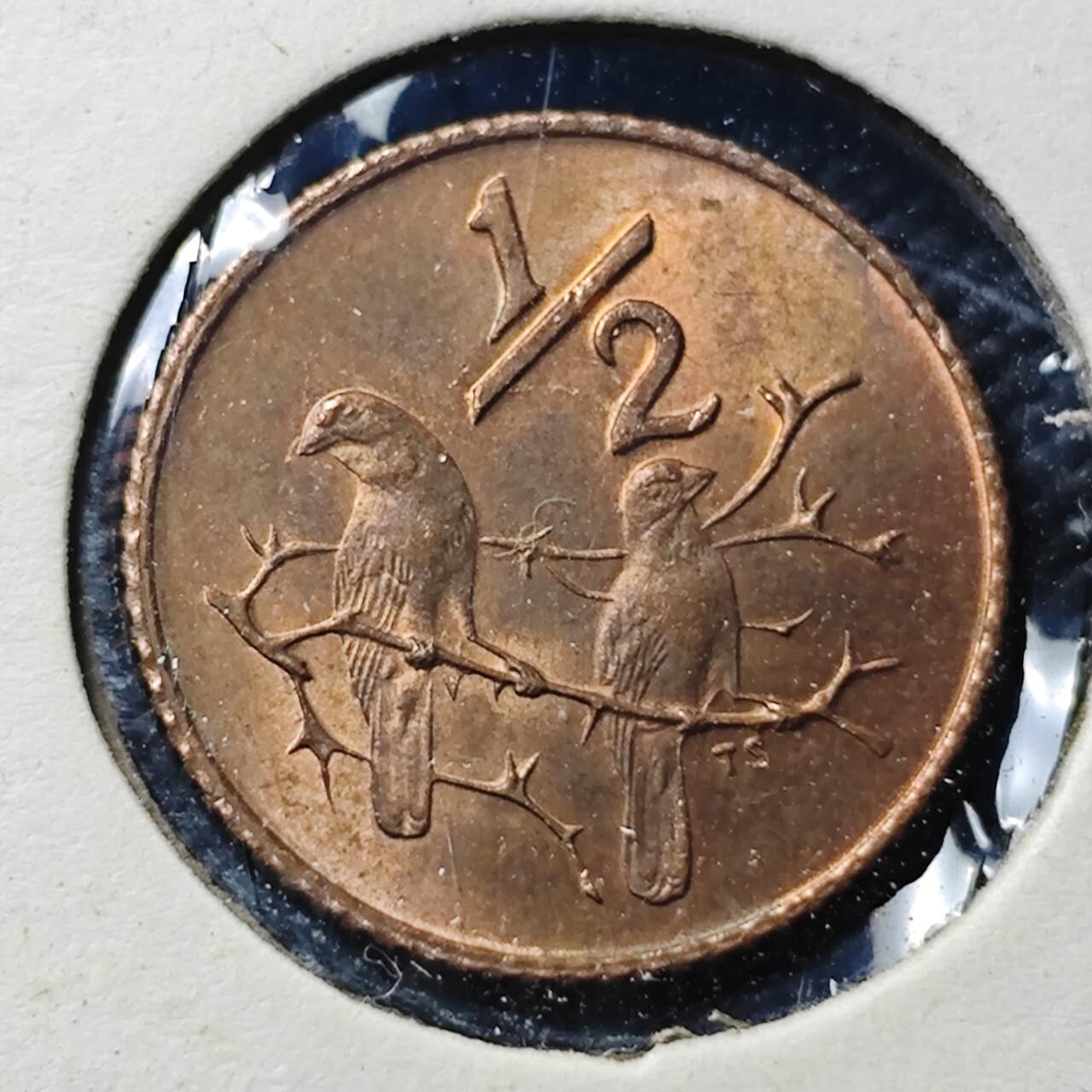 KK钱币收藏小铺  第406期 2月预留时间 周末发货